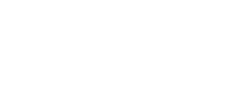 DJ Ginscha Logo Weiß